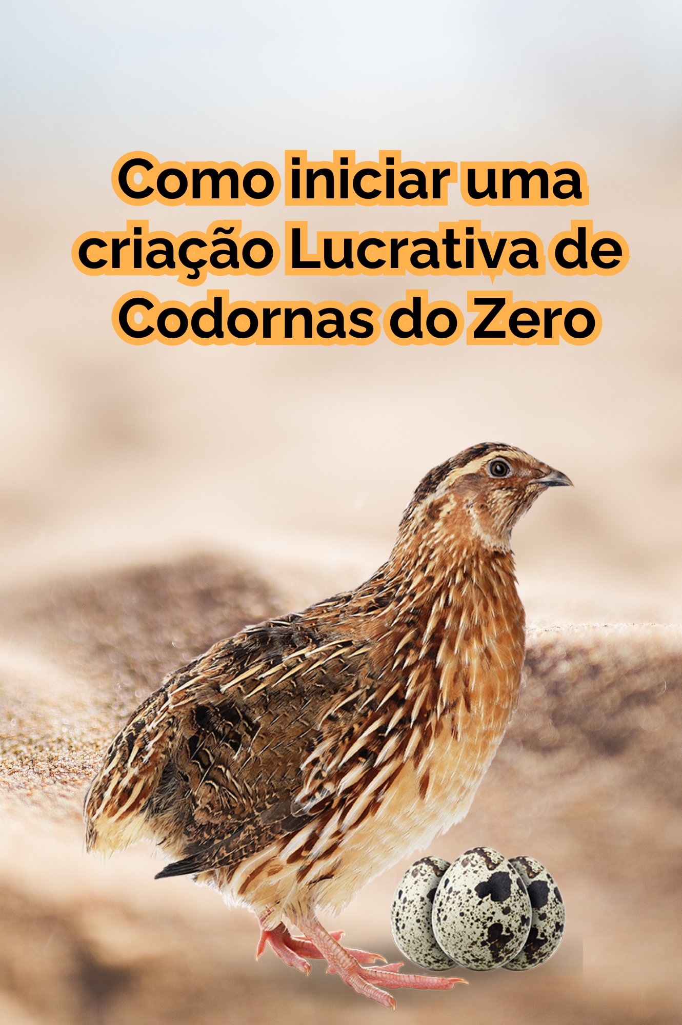 COMO INICIAR UMA CRIAÇÃO LUCRATIVA DE CODORNAS DO ZERO
